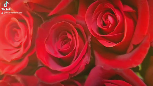 Glimmers of Love